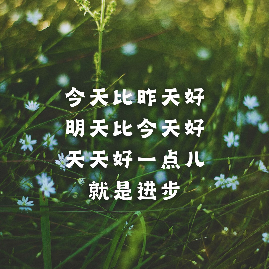 484902615 630312406628610 3737567413481835114 n